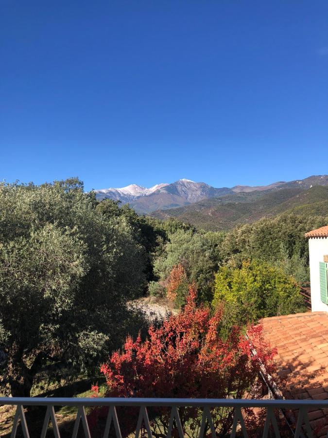 Villa Bonheur Vallespir セレ エクステリア 写真